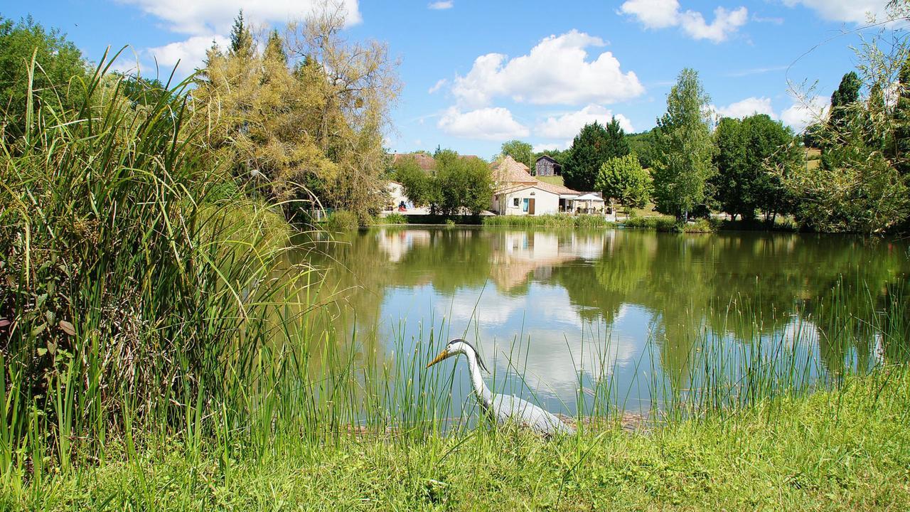 Le Domaine De L'Etang De Sandanet Issac Екстериор снимка