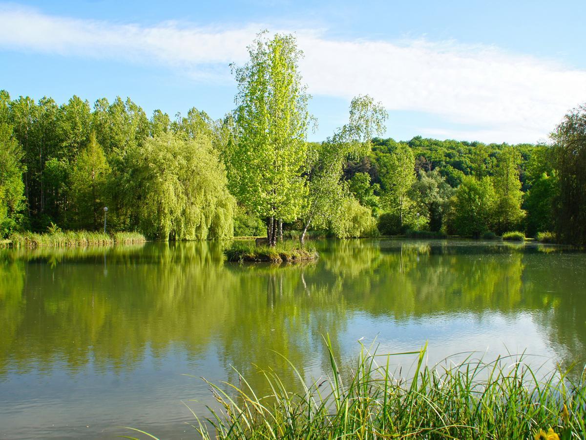 Le Domaine De L'Etang De Sandanet Issac Екстериор снимка